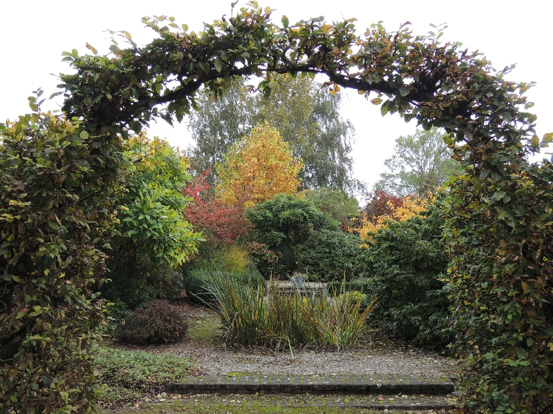 Arboretum automne.jpg